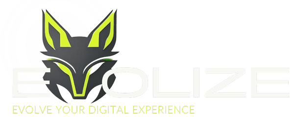 evolize_optimized